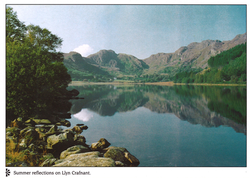 Summer Reflections on Llyn Crafnant postcards